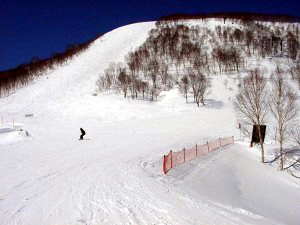�摜�F2004/3/27��-1