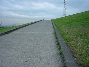 T-Board�摜