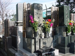 �������軲��