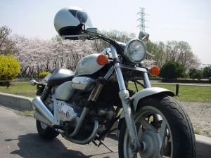 �摜�F����