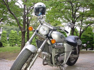 �摜�F�o�C�N