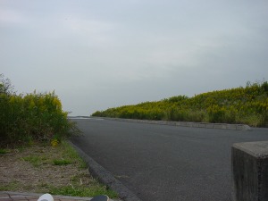 �摜�FT-Board