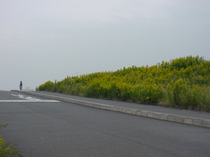 �摜�FT-Board