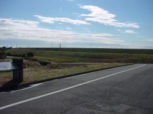 �摜:T-Board2005