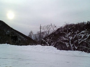 �摜�F2006�N1��1��-2