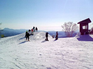 �摜�F2006�N1��1��-5