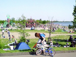 �摜:�e�B�[�{�[�hin�ʌ�6