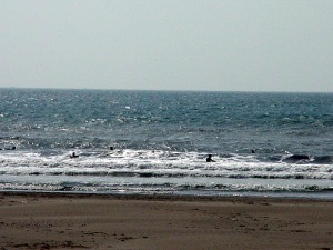 �摜�FSurf