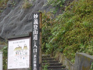 �摜�F�R