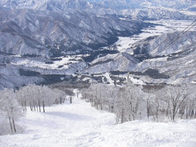 �摜�F���C�R-3