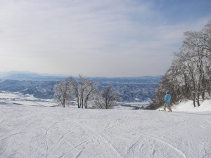 �摜�F���C�R-6