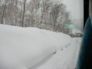 �摜�F���̖k�C��-�O����-2