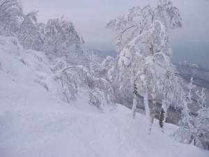 �摜�F���̖k�C��-�O����-4