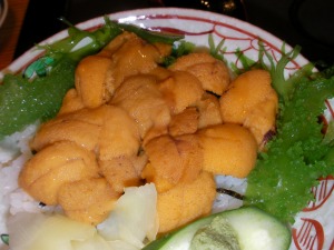 �摜�F���̖k�C��-�l����-5