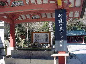 �摜�F�Â��ł̂�т�o���܂�