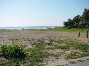 �摜�F���C��-1