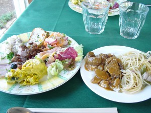 �摜�F�V�F�E�P���̐H��