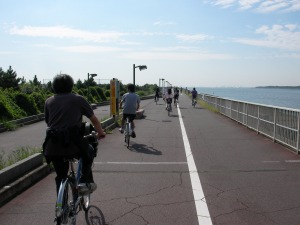 �C���������I
