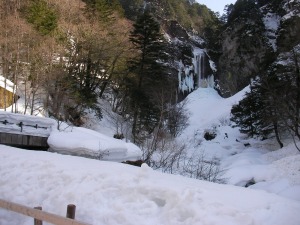 �摜�F���2���̖闈�����I