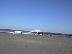 �摜�FSurf