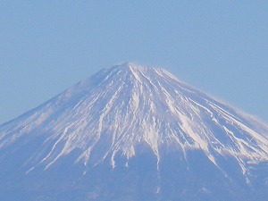 �摜�F�x�m�R