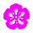 �摜�F����