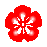 �摜�F����