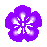 �摜�F�Α�