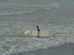 摜FSurf