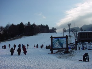 Snow2006