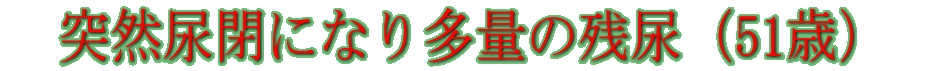 �ˑR�A�ɂȂ葽�ʂ̎c�A�i51�΁j