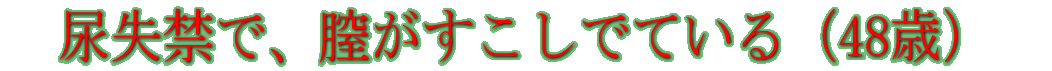 �A���ւŁA�S���������łĂ���i48�΁j