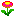 �f�C�W�[