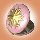 �R���p�N�g