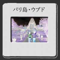 �o���E�E�u�h