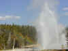 718_Upper_Geyser_Basin.jpg (21599 oCg)