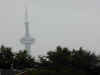 897_Toronto_CN_tower.jpg (16967 oCg)